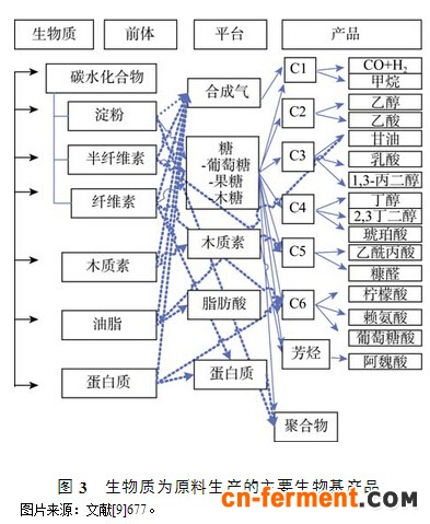 生物质产业关键技术突破与产业前景
