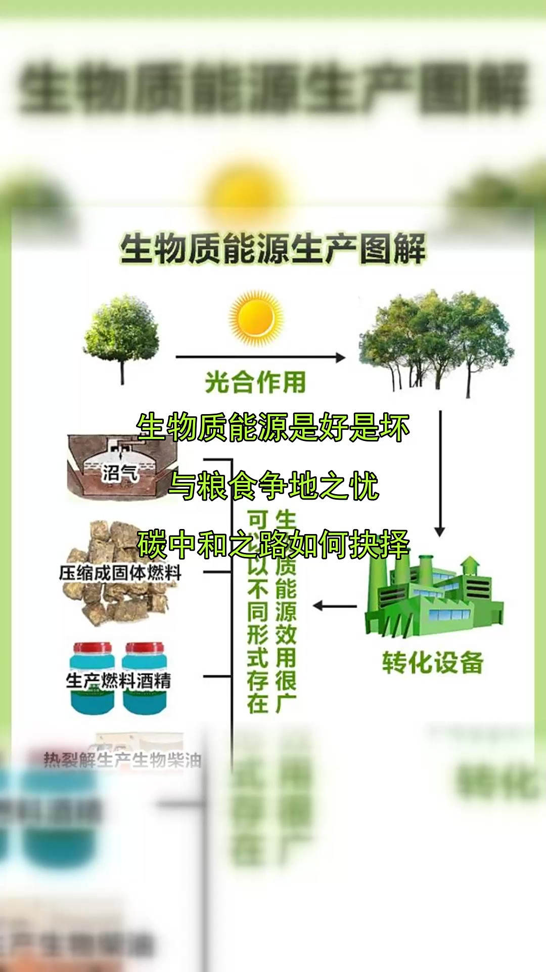 生物质能源 碳中和的“救星”还是粮食安全的“隐患”？